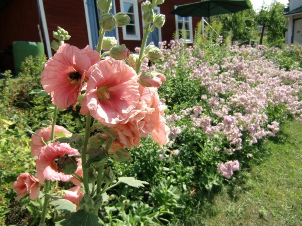 Vandrarhemmet Tallbacka/Aengelsberg Hostel Angelsberg 外观 照片